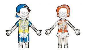 26个冷知识:虽然没有地方使用,但却经常出现的有趣知识