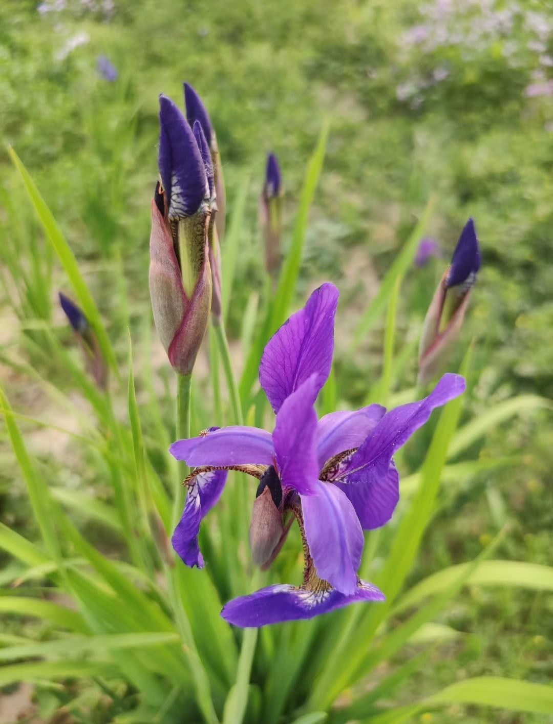 小考|春秋年号由来小考