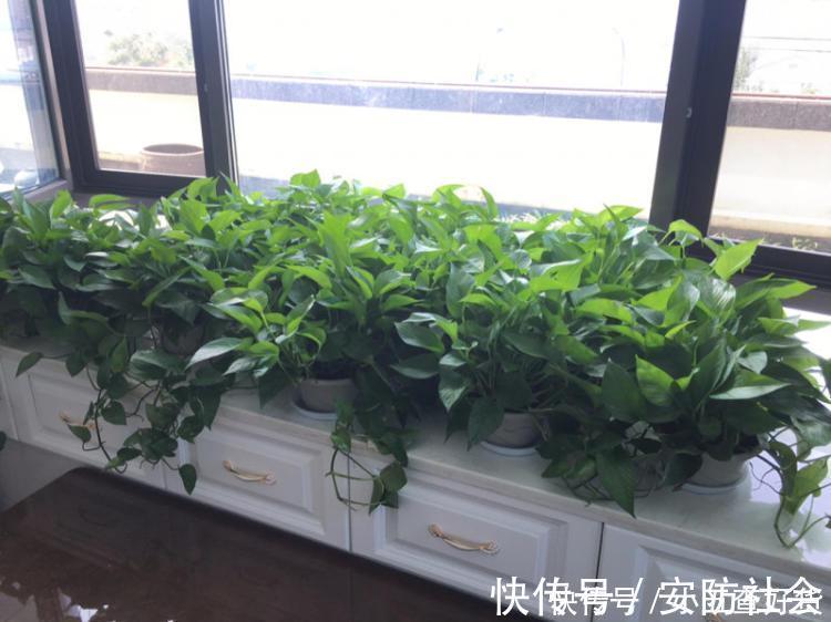 标准|装修完毕多久才能没甲醛?四个时段是标准,一年左右更安全