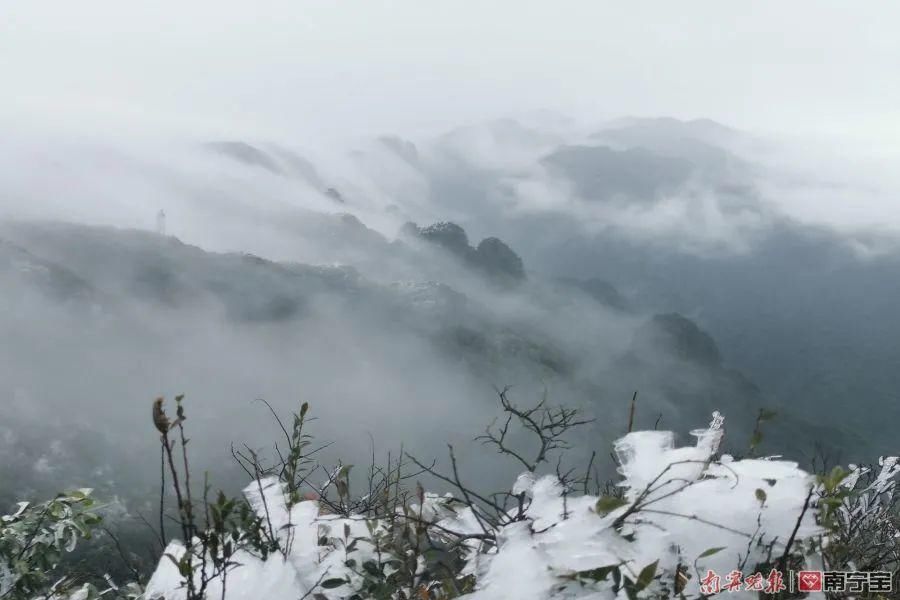 美成|下雪啦！广西多地出现雪景雾凇景观，美成仙境！附赏雪攻略