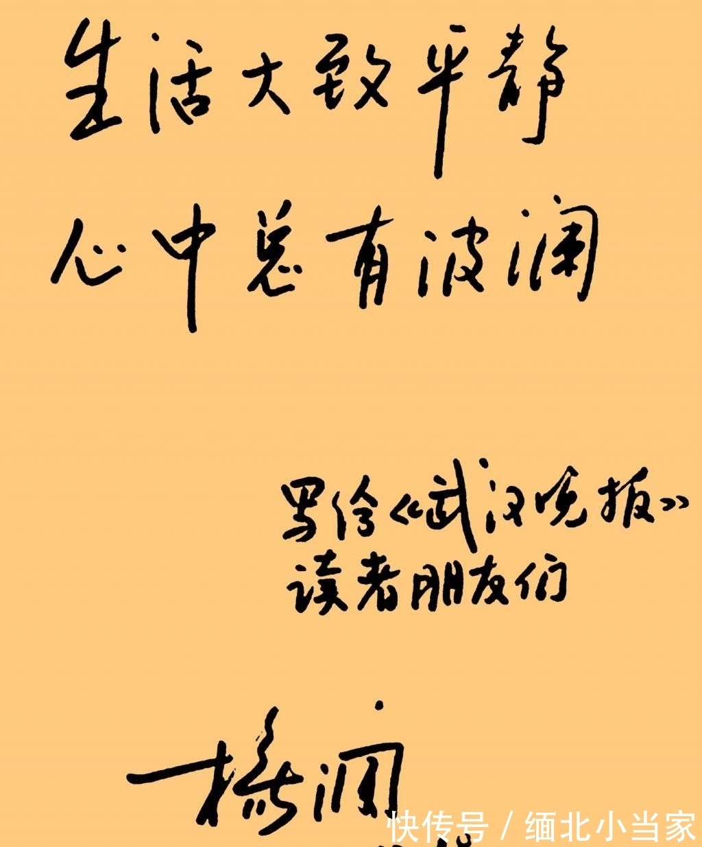 硬笔书法&杨澜有多美,她的书法也有多美,书协大佬也羡慕:希望多交流