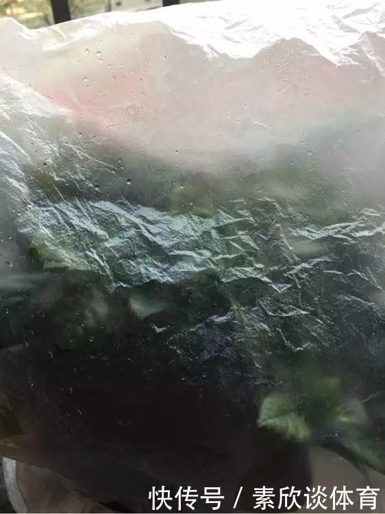 栀子花最怕它,碰上就没救,再上心都养不活!