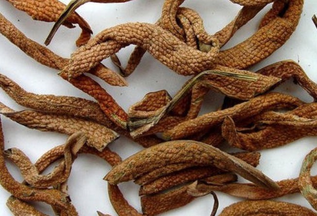 肾结石|男人常腰疼，小心“肾结石”光临，5个药方击碎你的结石