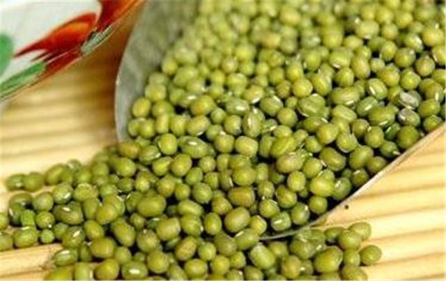 狗肉|医生提醒绿豆不能和4种食物一起吃,现在知道还不迟!
