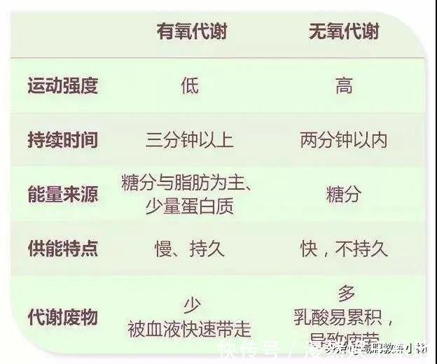 无氧运动|8个月暴瘦40斤，奇葩说刘楠学霸式减肥法，3个步骤教你瘦下来