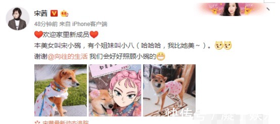 宋茜把《向往的生活》中小碗领走了，网友小碗变美丽了