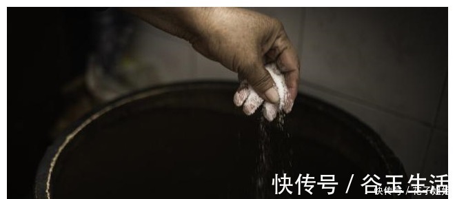 凉白开|腌酸菜，牢记3个技巧，酸菜不烂不生花，酸香脆爽超下饭！