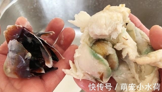 人工养殖|夏天，遇到此肉别手软，因无法人工养殖，好吃又营养，再贵也别省