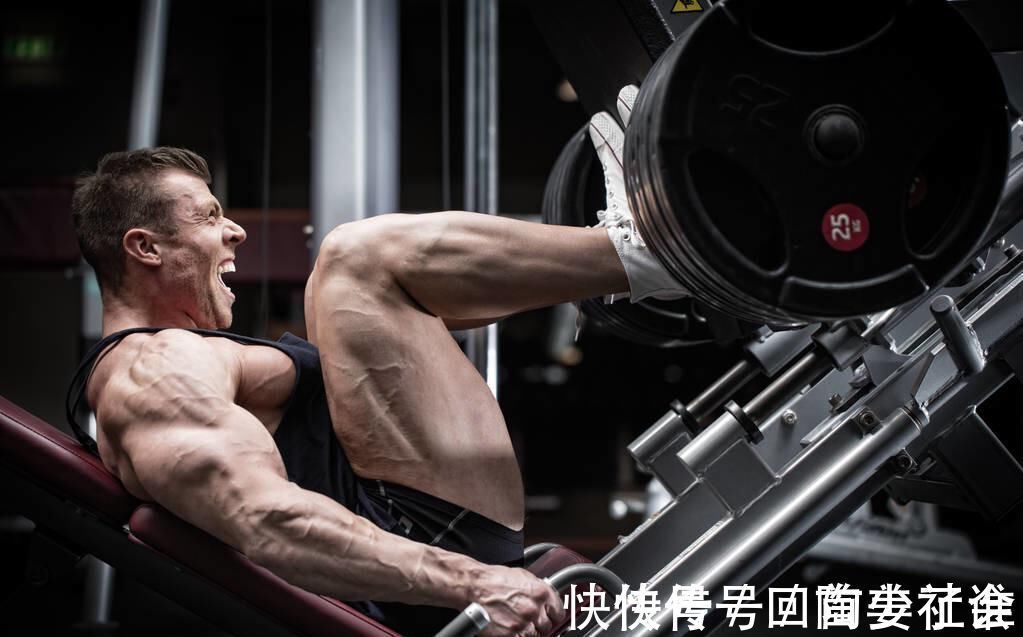 肌群|牢记4个增肌法则，让你提高肌肉维度，练出强壮身材！