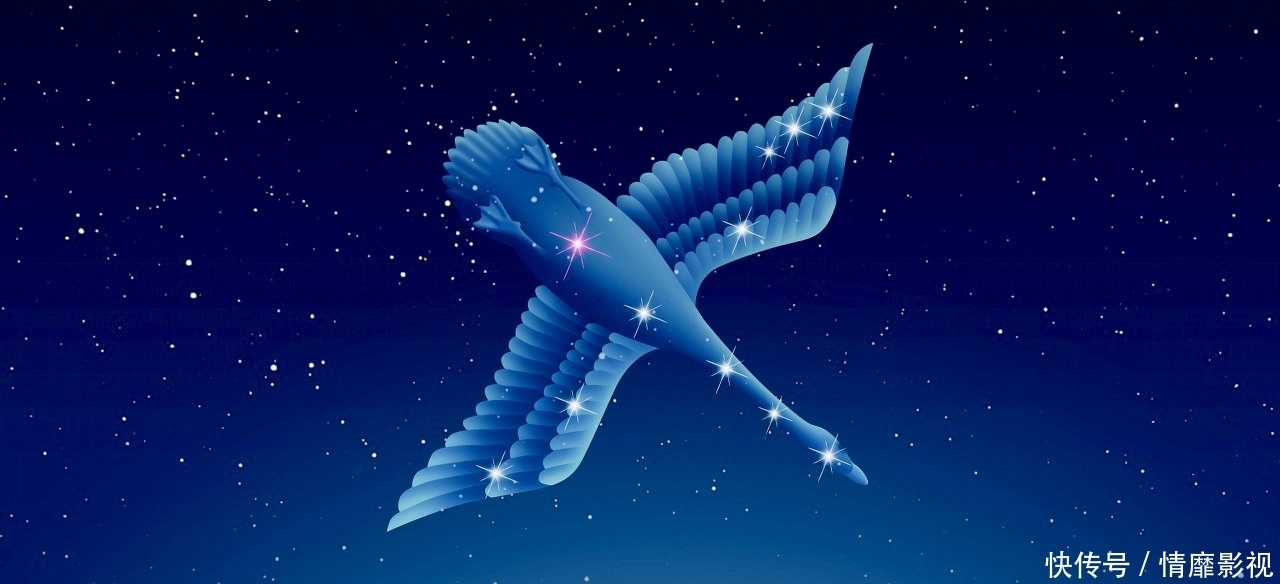 加速器 我国发现超高能宇宙线加速器 来自天鹅座