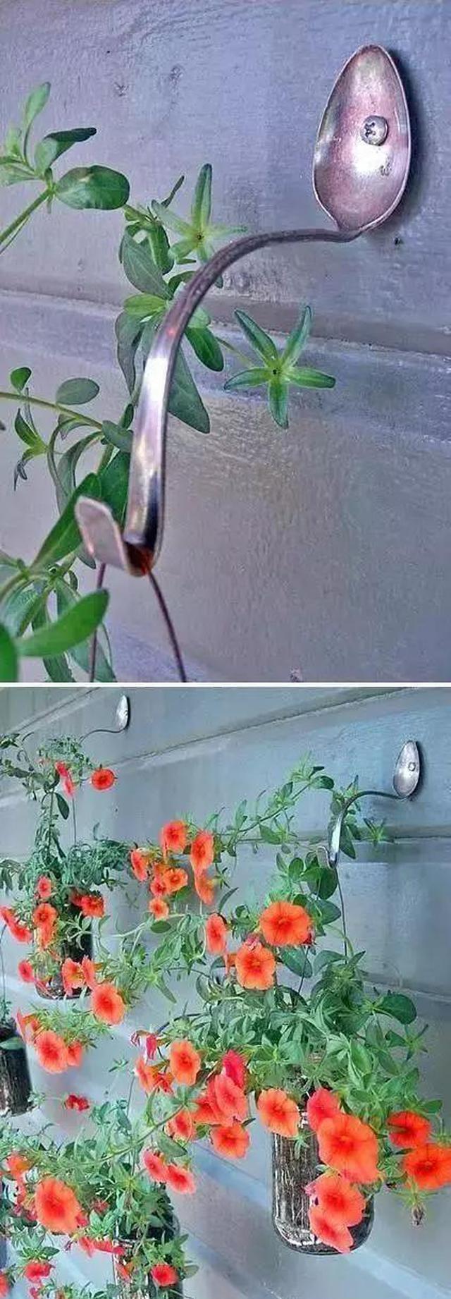 只要脑洞够，万物皆可花盆