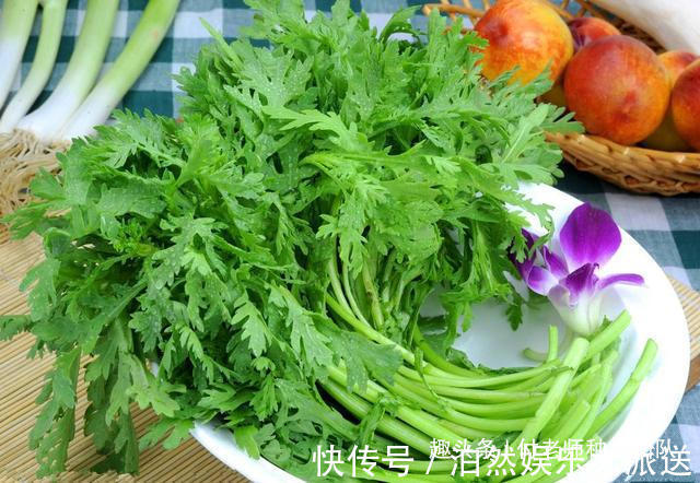 技巧|种茼蒿，采收时连根拔起教你1个技巧，茼蒿摘完一茬又一茬