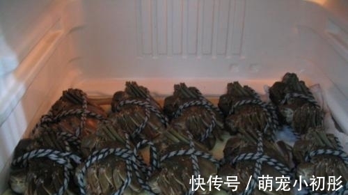 冰箱|吃不完的螃蟹,不要直接放冰箱,大厨教你一招,放7天也不会坏