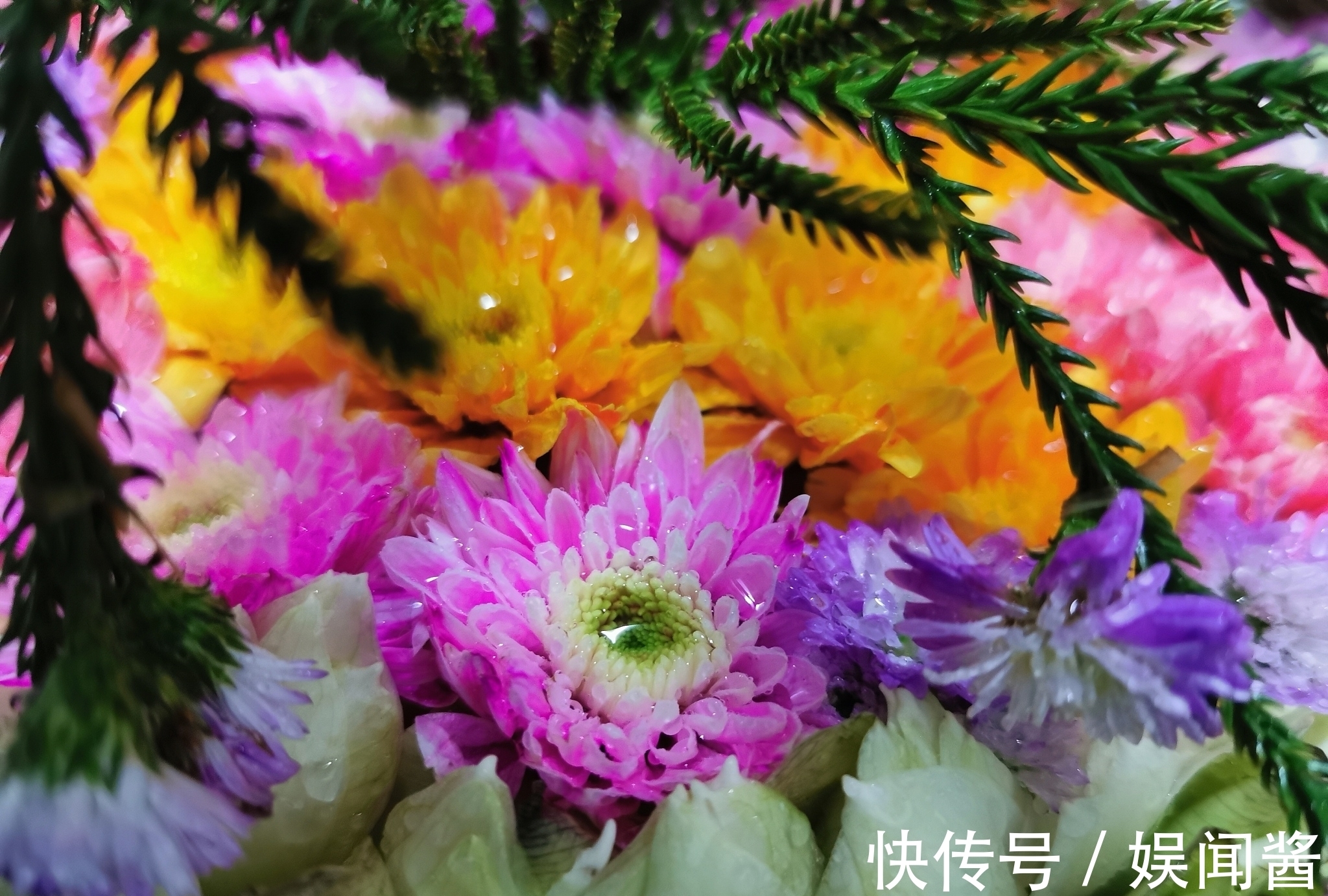 自然界@宋诗四首,其中一首是苏轼的小景七绝,此诗寓意深远,耐人寻味