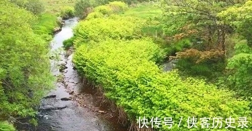 入药|一种植物甚至可以将人逼到自杀,它究竟是什么植物?