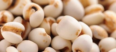 血管|血管的天然“清洁工”,每天吃一点,净化血液,血栓不敢“造次”