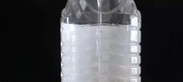 只要家里有油桶,就不用花钱买花盆!多肉种在油桶里,叶子胖嘟嘟