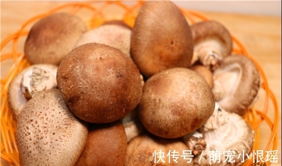 菜贩子|买香菇时，看见这几种建议不要买，菜贩子从来不吃，涨知识了?！