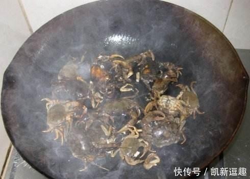 芦苇底下的纯天然食物,营养价值高非常稀有,一个技巧就能抓到