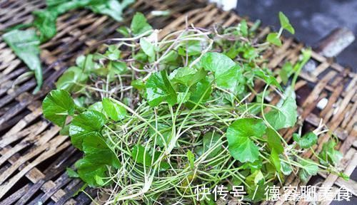 野菜|叶子像一个碗,既是野菜,也是药,曾是上好的凉茶料,你可认识?