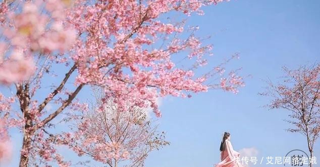 婚姻中隐藏的最大真相,看完清醒了