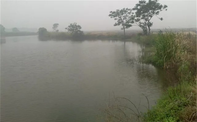 秋季是钓鱼的黄金季节，其中这两种天气，更爱上鱼