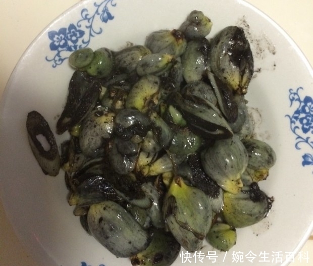 不间断|玉米杆上长满“瘤”后,身价暴涨不间断,收购商:一根难求!