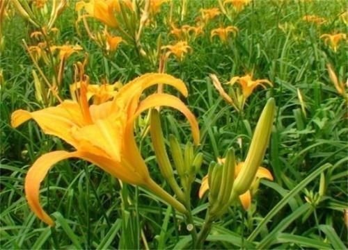 营养成分|女性担心老太快,可以多吃三种食物,美容养生,有益健康!