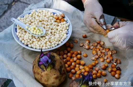 像江南小仙女一样鲜灵灵的水八仙,在秋天发出邀请函