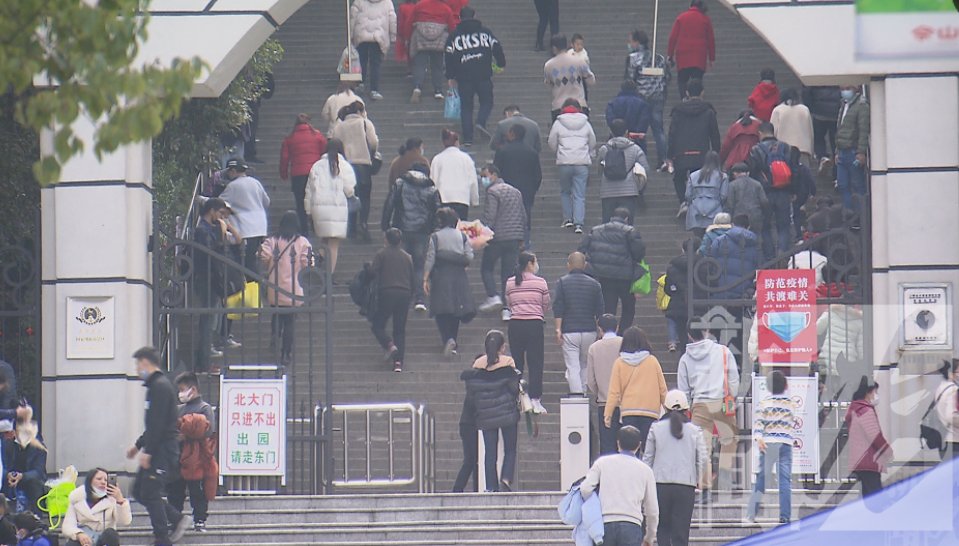 3天接待游客226.84万人次!“就地过年”激活上海文旅消费市场