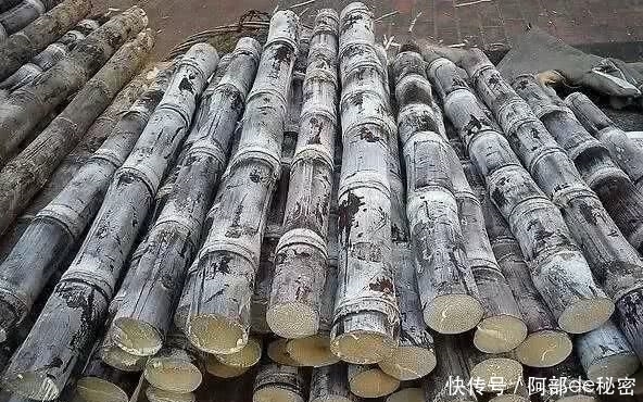 讲究|又到甘蔗大量上市的时节,学会这几个妙招让你吃的开心又健康