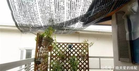 遮阳网|夏天来了不懂此些花卉降温方法,难怪你的花都死了