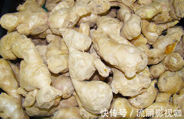老中医|生姜这么用，少往医院跑！一块生姜“8种病”，顶过一个老中医