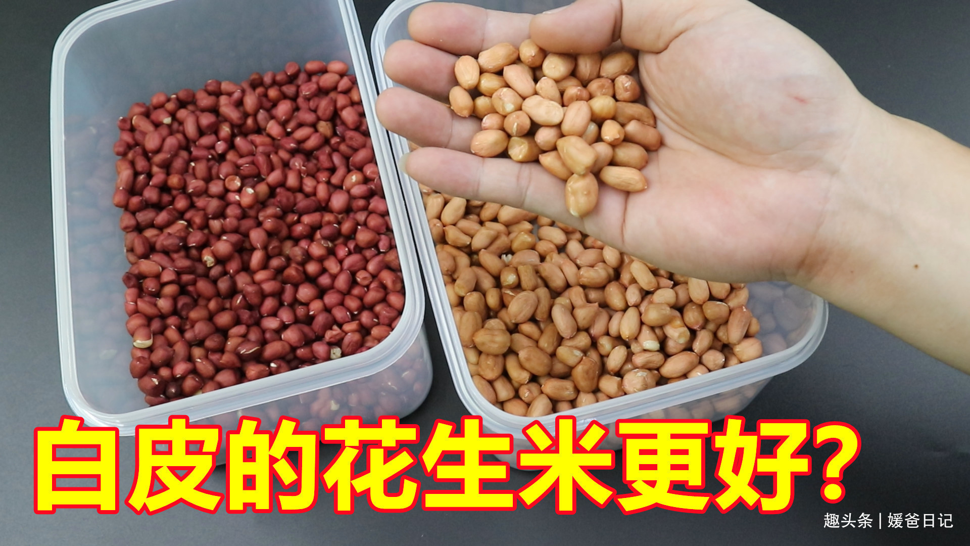 红皮花生米和白皮花生米,哪一个更有营养好多人不懂,长见识了