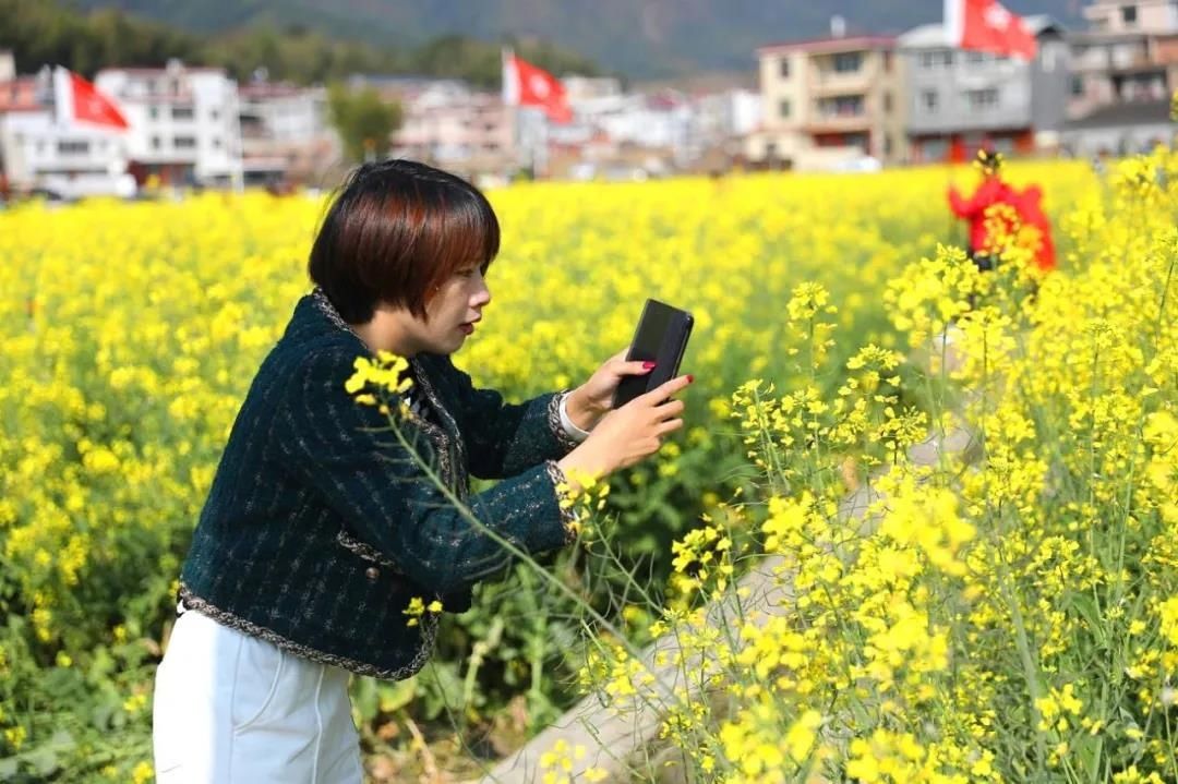 看龙岩这片新春花海，人面黄花相映红~