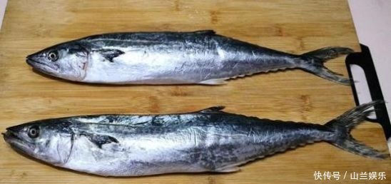 吃鱼专挑这3种鱼, 连卖鱼的都夸你, 海边人都经常吃