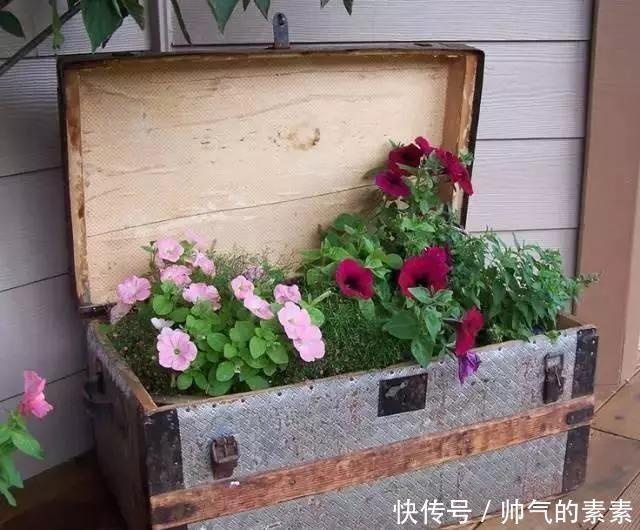 只要脑洞够，万物皆可花盆