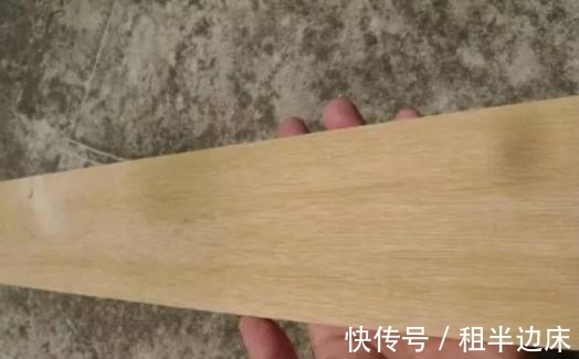 这种树生长在中国,被喻为世界上最坚硬的树,比金属还硬