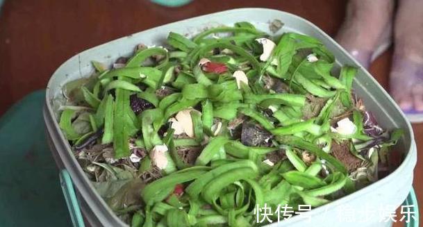 打算给花草换盆,却苦于没钱买营养土不怕,用这些废料就够了