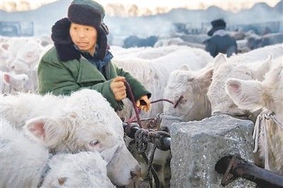 融水苗族自治县|一幅乡村振兴的生动画卷