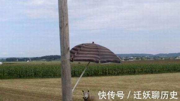 |搞笑图片:爱情面前,啥都不是问题!