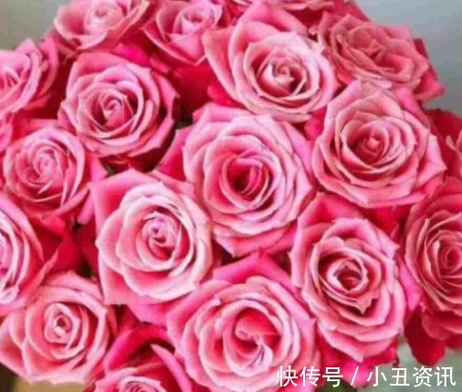 新手养花，不如养盆花中精品“泰姬”，花开似美姬，妖娆美丽