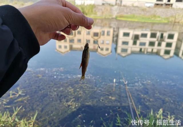 野钓|理想中的钓鱼VS现实中的钓鱼，新手看懵圈，老手看得扎心