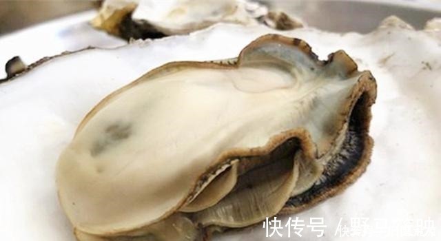 生蚝|使用“蚝油”要留意，为了家人健康，别再用错了，早知道早受益