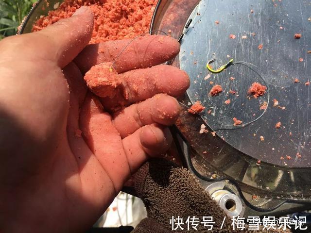 文章|学钓鲢鳙从这篇文章开始,调漂、开饵、抓口都给你讲明白