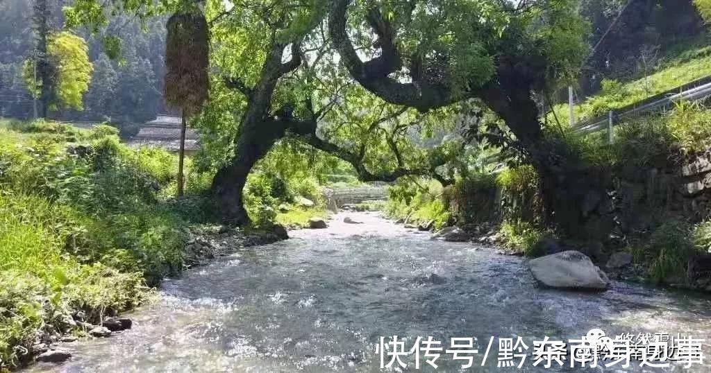 苗寨|戳进来！带你领略雷山苗寨的“春夏秋冬”