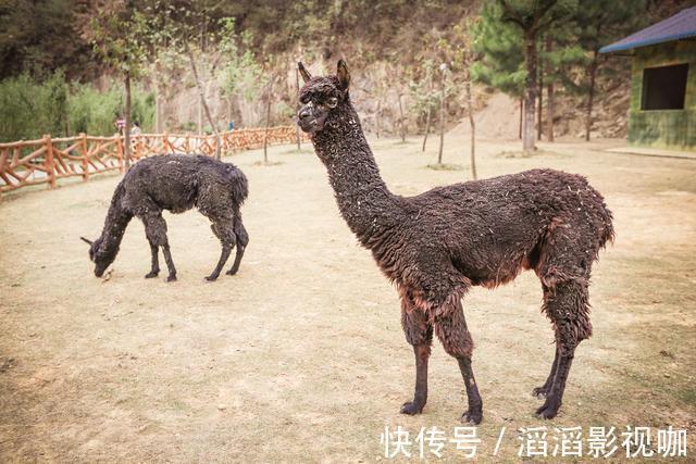 咸宁|这座边远的小山村，不仅长寿老人多，双胞胎也多，如今成热门景点