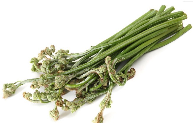 鱼腥草|66种野菜大图片，带你见识不同的野菜和吃法，你想要的野菜这里有