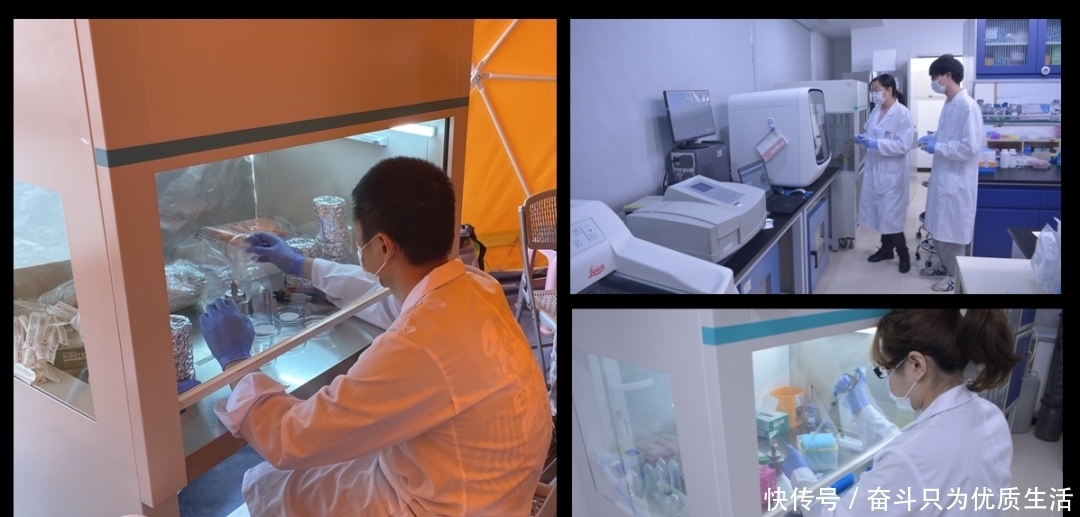 这个飞机上不去,卫星下不来的区域,成为了探索火星生命的天然实验室|林巍