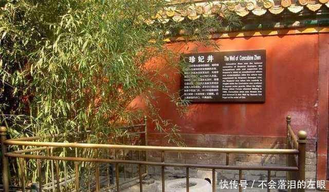 投进去|“珍妃井”小得头都伸不进,珍妃是如何被投进去的看了就知道了